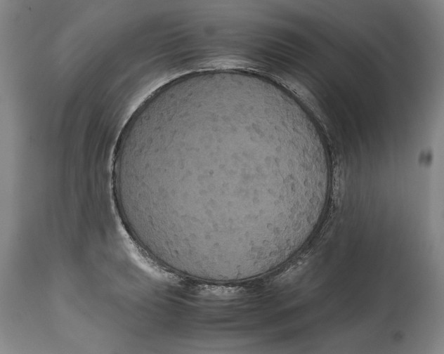 X0000114621039200911171053