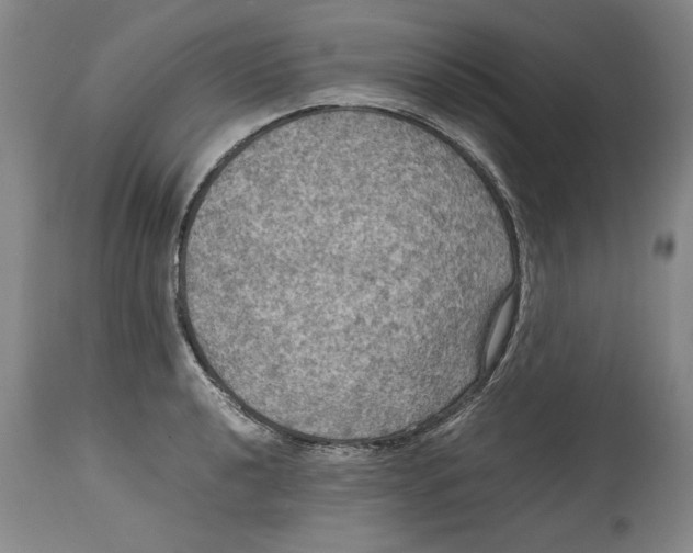 X0000114621040200911171053