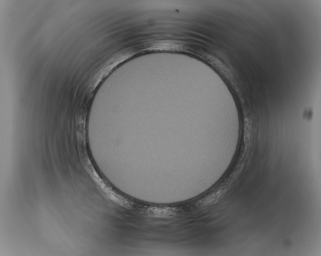 X0000114621041200911171053
