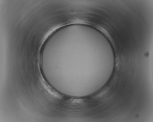 X0000114621043200911171053