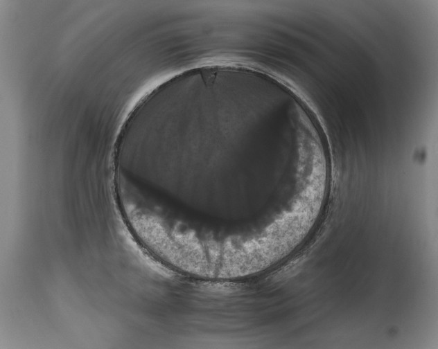 X0000114621045200911171053