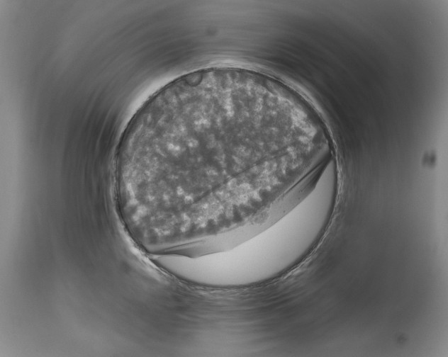 X0000114621048200911171053