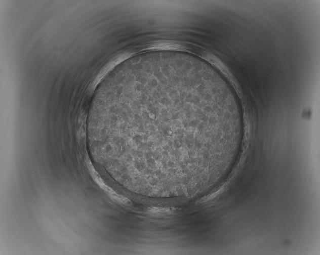 X0000114621049200911171053