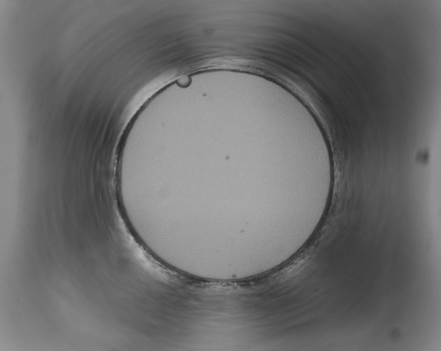 X0000114621050200911171053