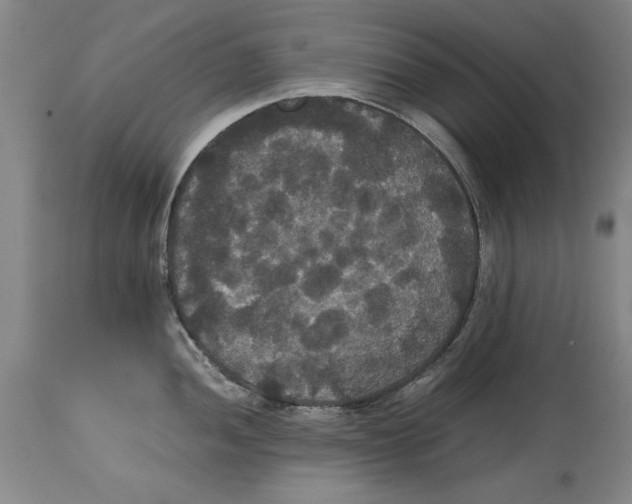 X0000114621052200911171053