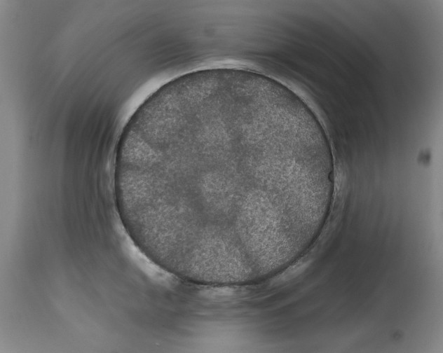 X0000114621054200911171053