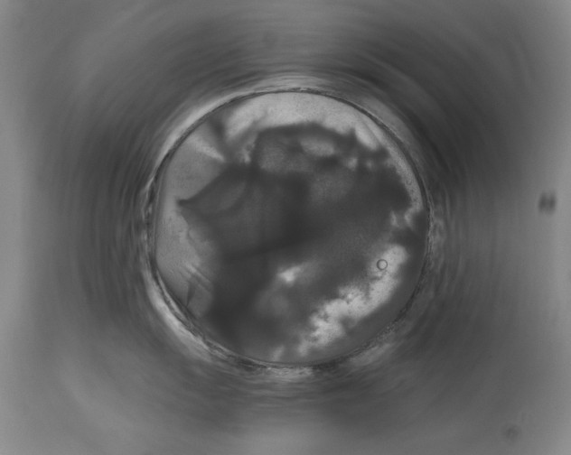 X0000114621055200911171053