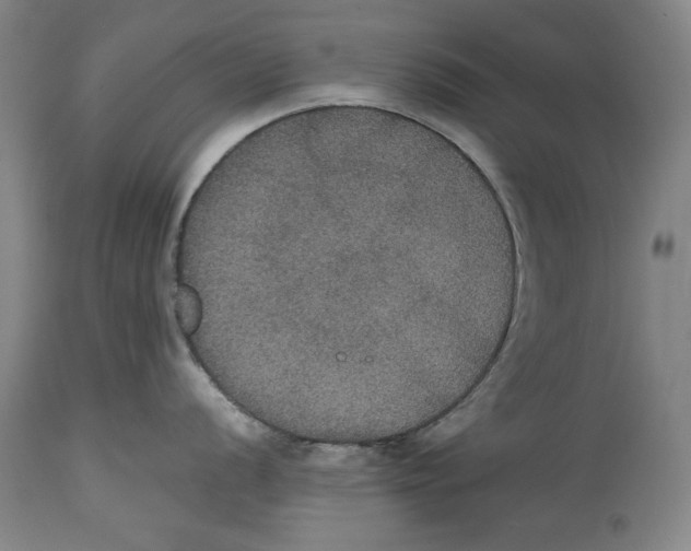 X0000114621056200911171053