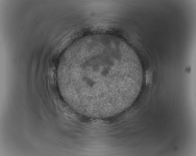 X0000114621059200911171053