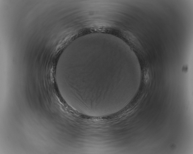 X0000114621060200911171053