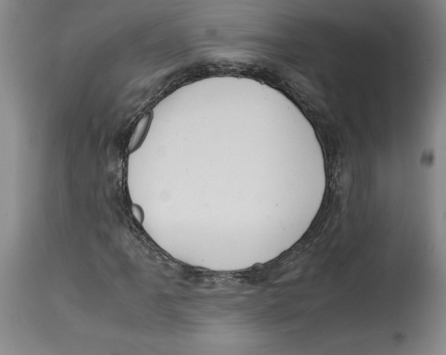 X0000114621061200911171053