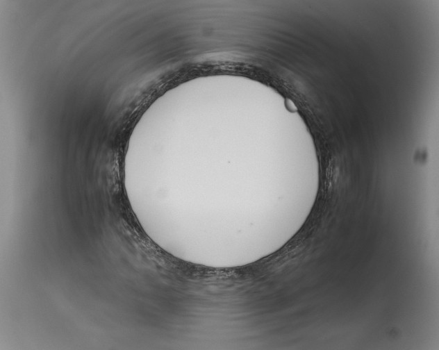 X0000114621062200911171052