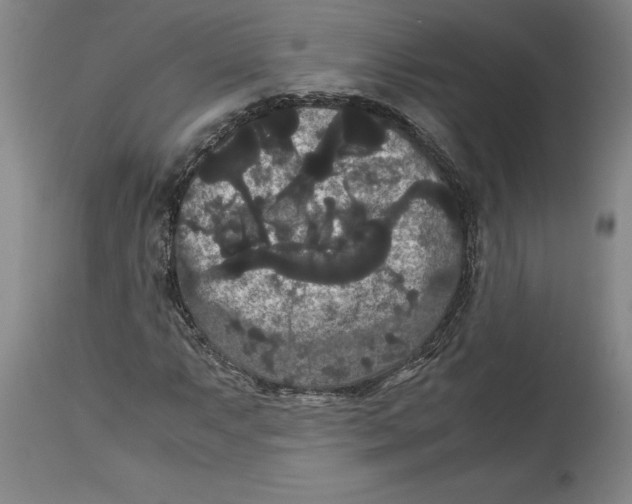 X0000114621063200911171052