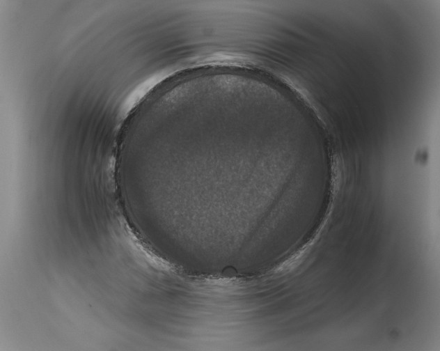 X0000114621066200911171052