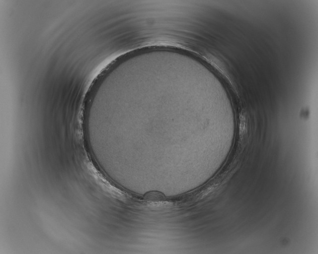 X0000114621068200911171052