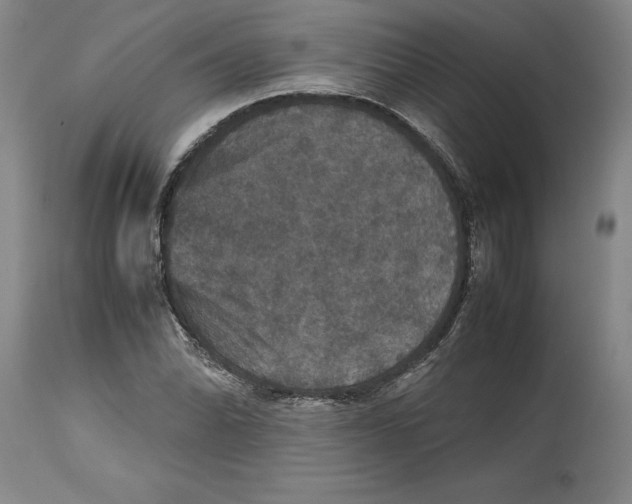 X0000114621070200911171052