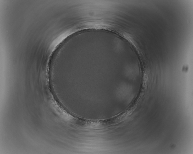 X0000114621071200911171052