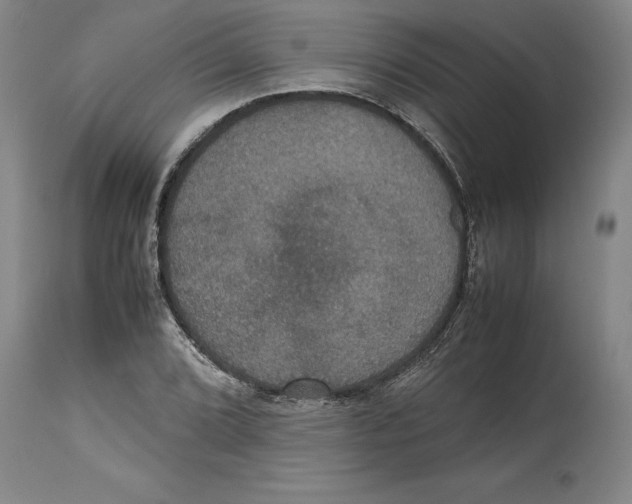 X0000114621072200911171052