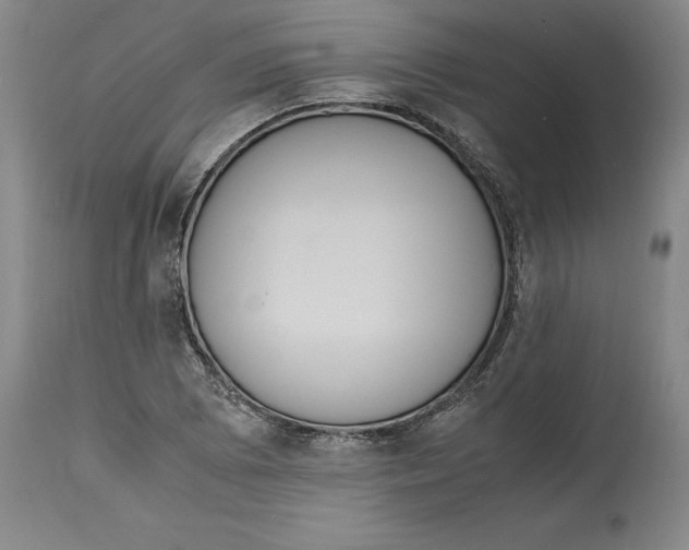 X0000114621073200911171052