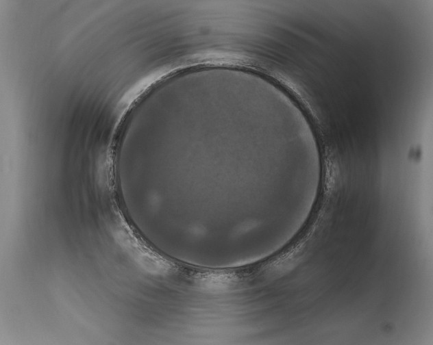 X0000114621074200911171052