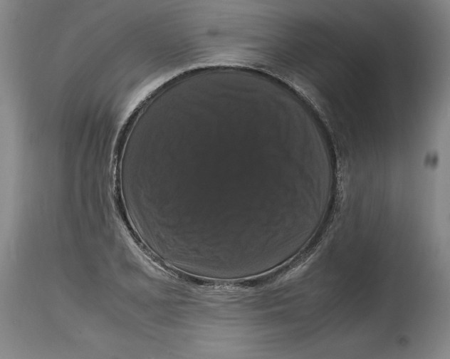 X0000114621077200911171052