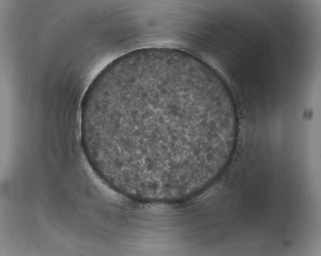 X0000114621079200911171052