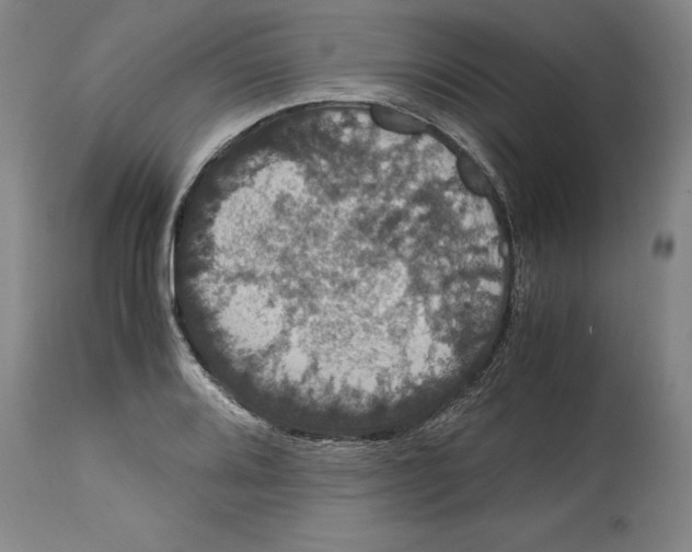 X0000114621080200911171052