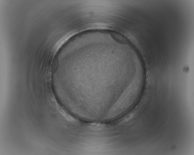 X0000114621081200911171052