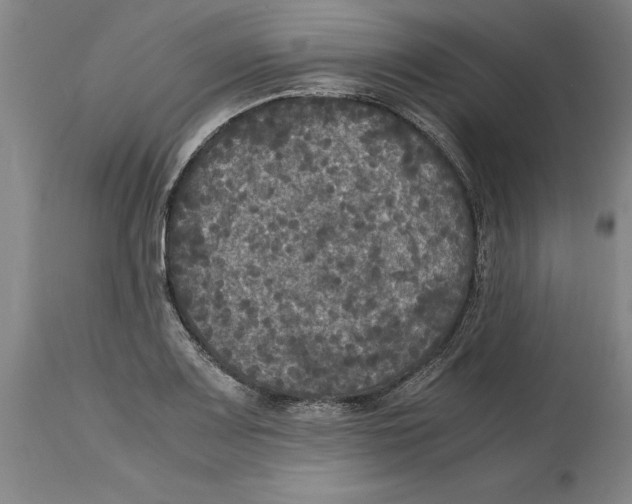 X0000114621083200911171052