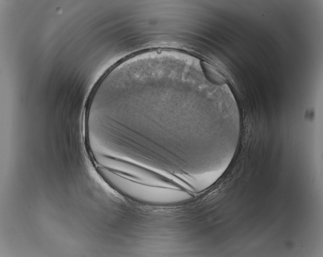 X0000114621084200911171052