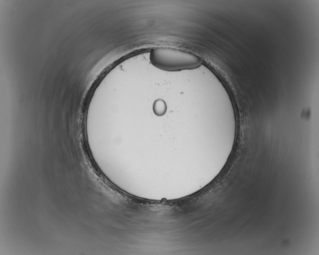 X0000114621085200911171052