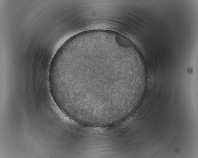 X0000114621086200911171052