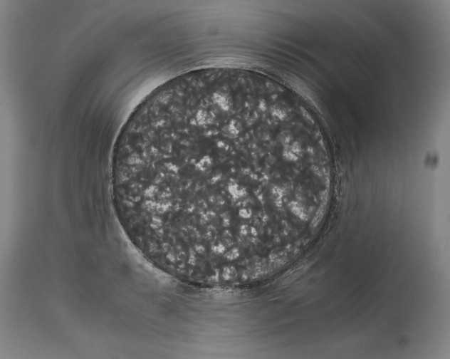 X0000114621087200911171052