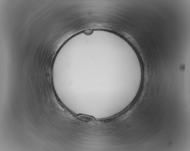 X0000114621089200911171052