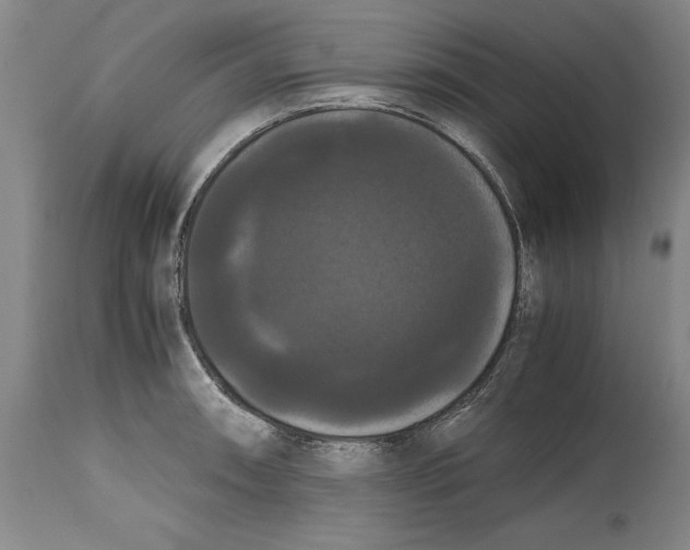 X0000114621090200911171052