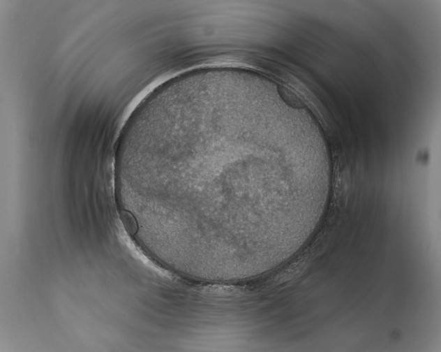 X0000114621092200911171052