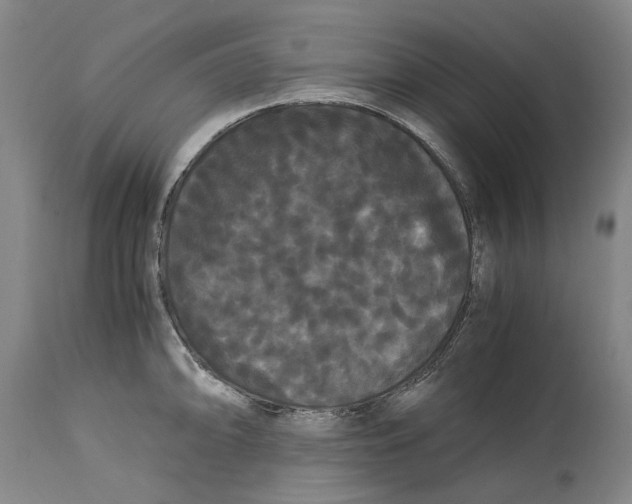 X0000114621094200911171052
