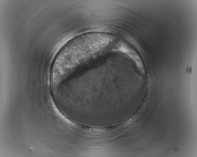 X0000114621095200911171052