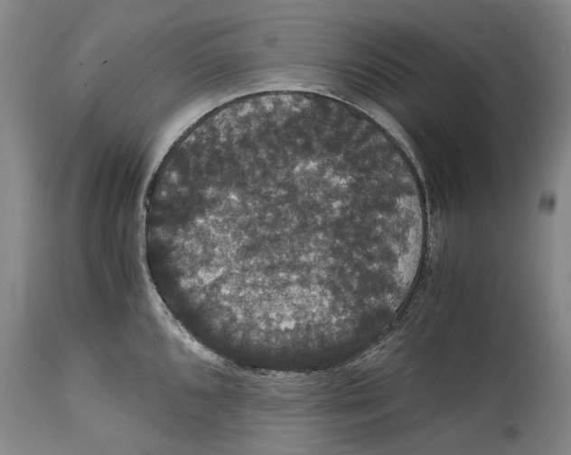 X0000114621096200911171052