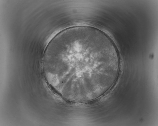 X0000114621097200911171052