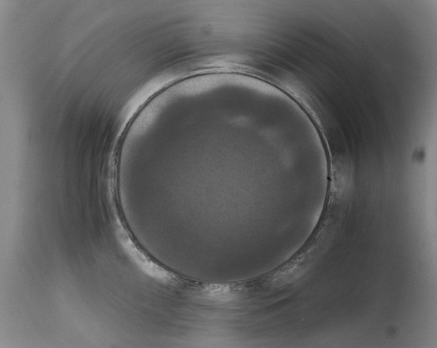 X0000114621098200911171052