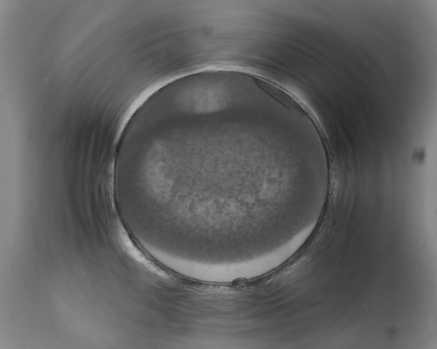 X0000114621100200911171052