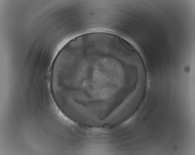 X0000114621102200911171052
