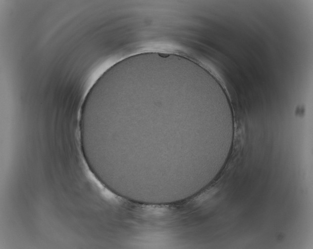 X0000114621103200911171052