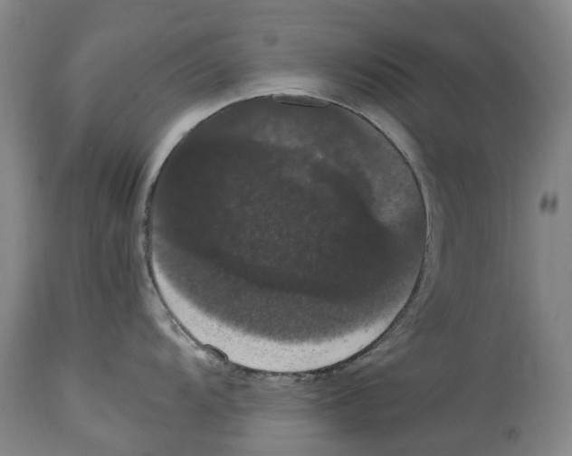 X0000114621104200911171052
