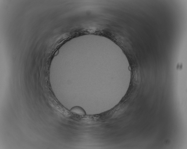 X0000114621105200911171051
