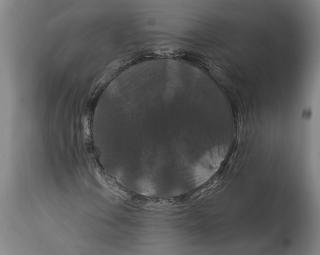 X0000114621106200911171051