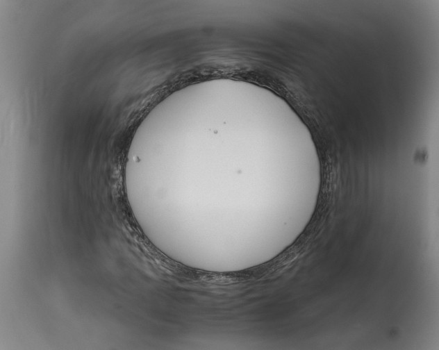 X0000114621109200911171051