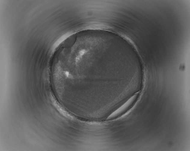X0000114621114200911171051