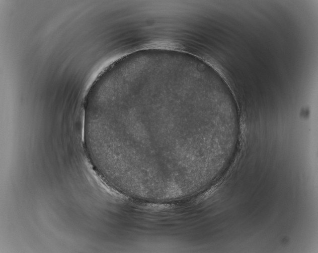 X0000114621123200911171052